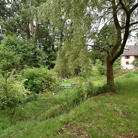Serendipity Bed&Breakfast Saint-Die-des-Vosges Esterno foto