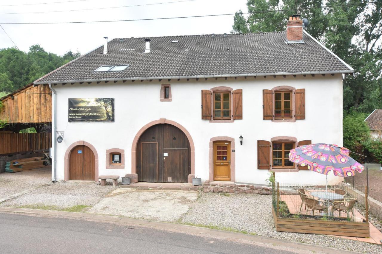 Serendipity Bed&Breakfast Saint-Die-des-Vosges Esterno foto