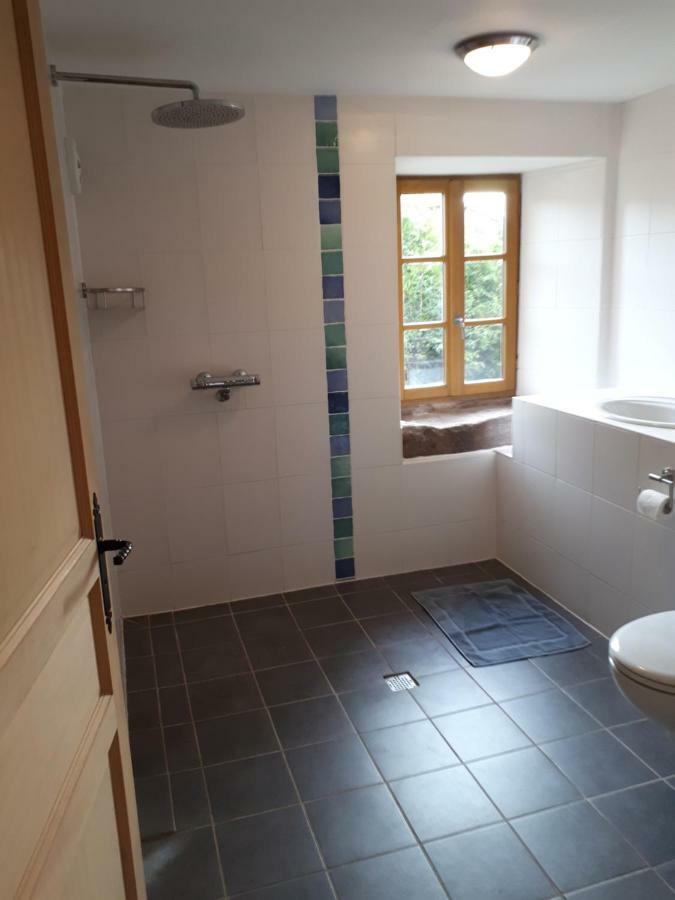 Serendipity Bed&Breakfast Saint-Die-des-Vosges Esterno foto