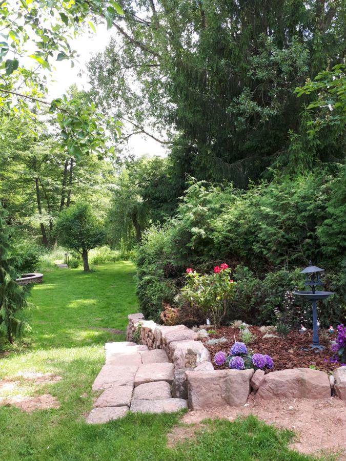 Serendipity Bed&Breakfast Saint-Die-des-Vosges Esterno foto
