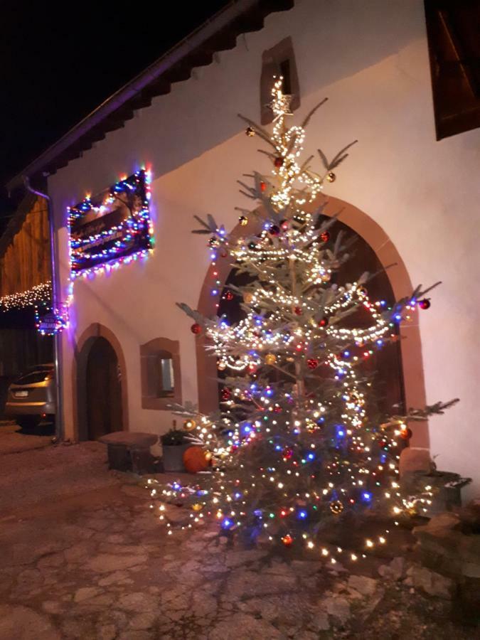 Serendipity Bed&Breakfast Saint-Die-des-Vosges Esterno foto