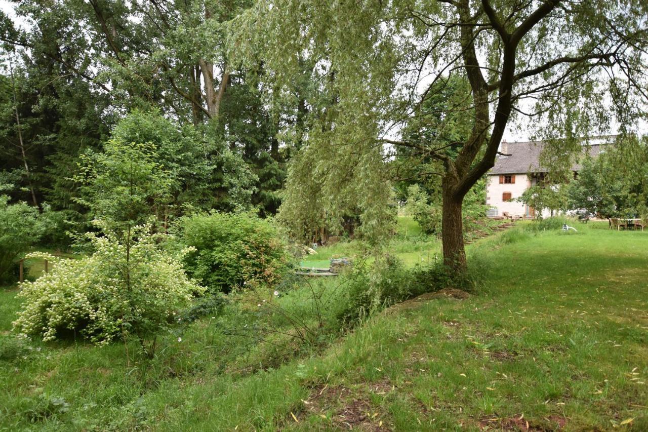 Serendipity Bed&Breakfast Saint-Die-des-Vosges Esterno foto